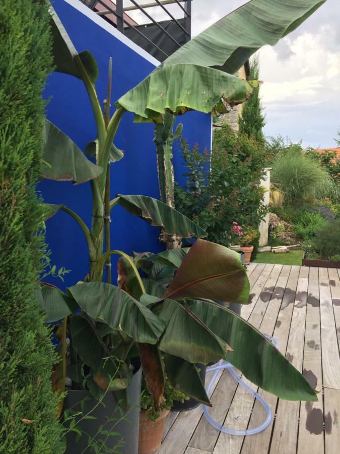 Un Havre De Paix Lägenhet Courcelles-Sapicourt Exteriör bild